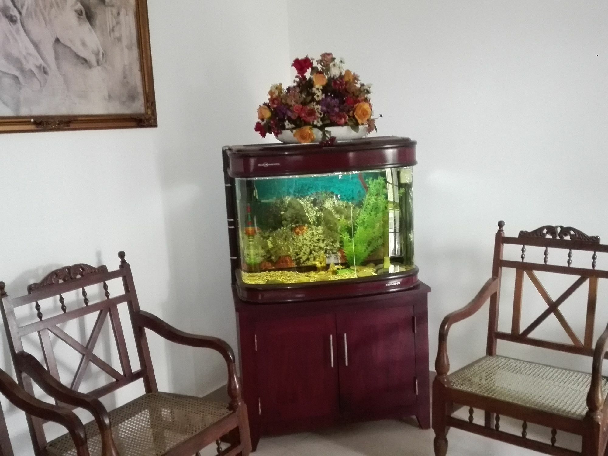 Salubrious Resort Anuradhapura Εξωτερικό φωτογραφία